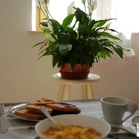Il Palazzetto Del Pittore B&B 산퀴리코도르시아